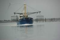 foto10_small.jpg